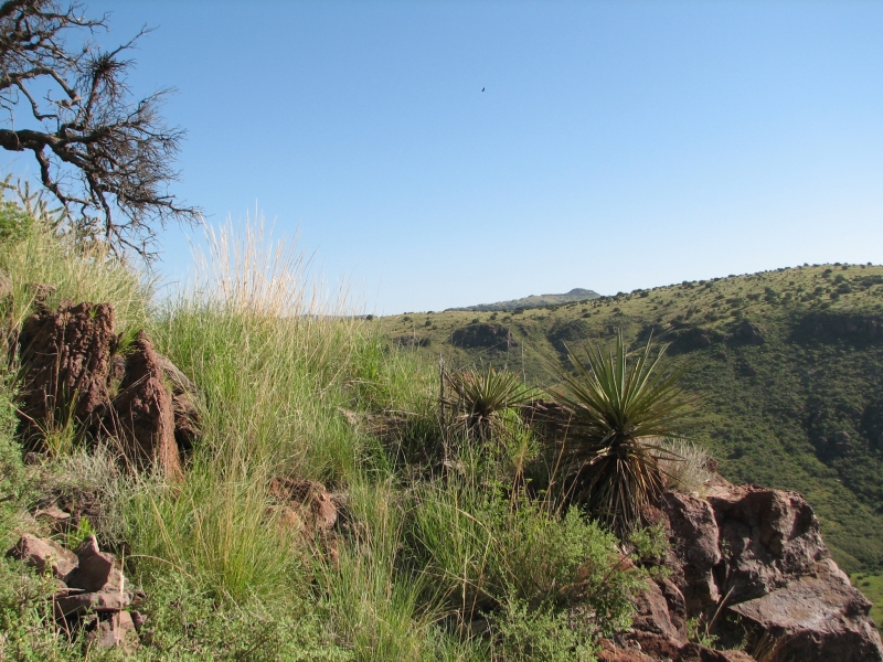 2009/07(July)/BuffaloTrailsScoutRanch/800x600_vista at state park.JPG